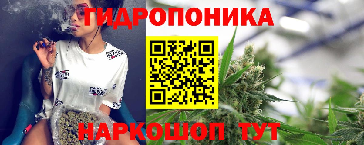 Каннабис конопля Видное